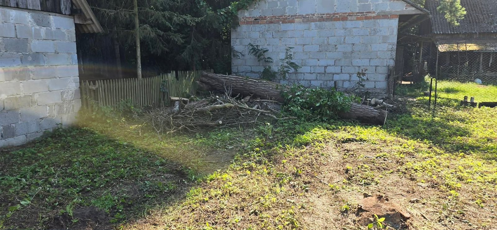 Wycinka drzew Iłża – DMJ Ogrody