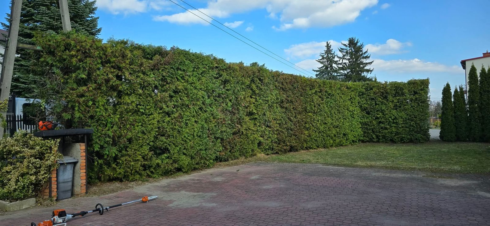 Przycinanie krzewów i tui – DMJ Ogrody Radom