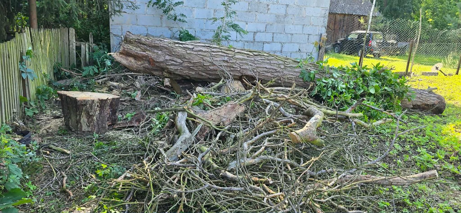 Wycinka i usuwanie drzew i krzaków – DMJ Ogrody Radom